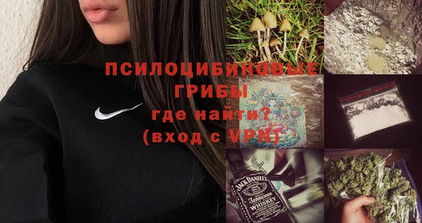 дживик Кодинск