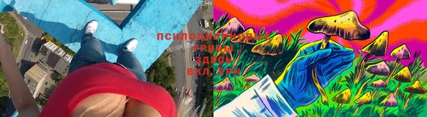 амфетамин Козловка