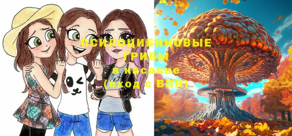 дживик Кодинск