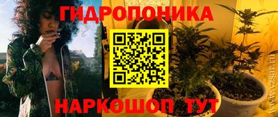 молекула духа Волжский