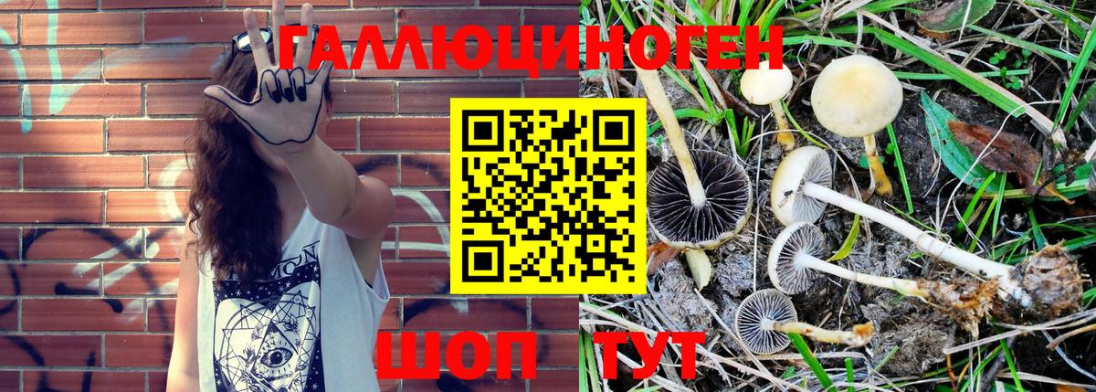 Галлюциногенные грибы мухоморы Долгопрудный
