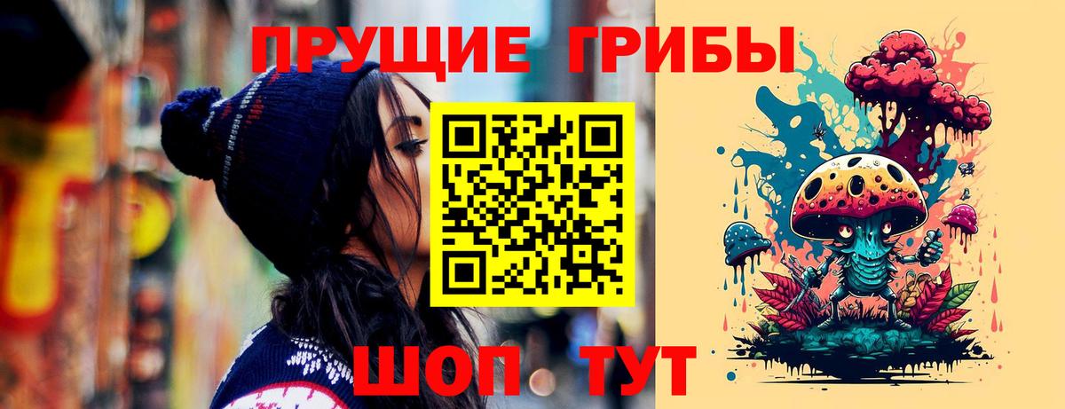 Псилоцибиновые грибы мицелий Долгопрудный